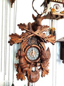 Hezke, kukacky, Schwarzwald - 2