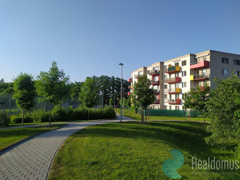 Pronájem, byt 1+kk, 37m2, balkón 6m2, sklep, Husova tř., okr - 2