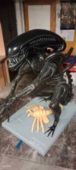 Vetřelec-Alien Xenomorph XX121 - 2