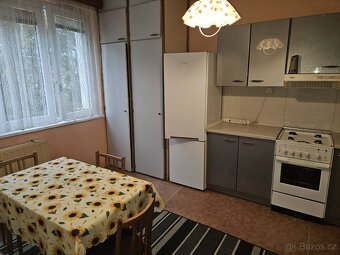 Pronájem bytu 1+1 Mariánské lázně - 2