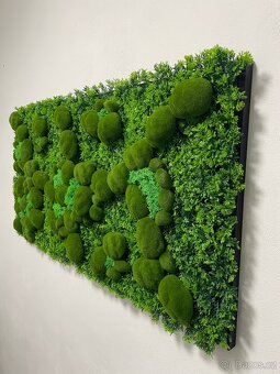 Umělý mechový obraz- příroda bez údržby - 2