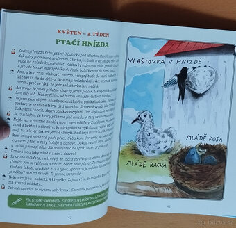 Pozorování v přírodě : týden po týdnu po celý rok pro děti - 2
