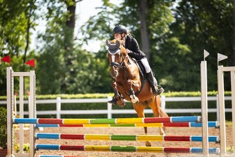 Pony B do sportu - 2