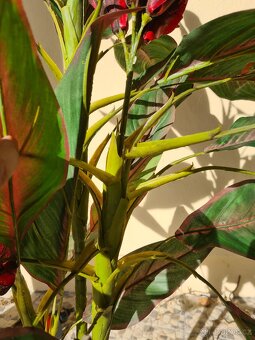 Umělá rostlina Dosna - 2