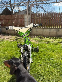 dětské kolo 12 - 2