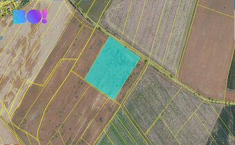 Prodej pole, 35589 m², Plinkout - 2