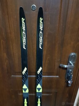 Prodám nové juniorské běžky FISCHER CROWN 147cm dlouhé. - 2