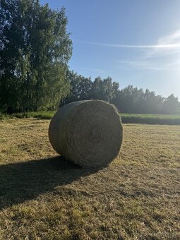 LETOŠNÍ SENO - 2