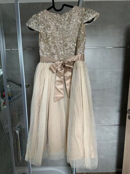 Divci spolecenske saticky, krasne… - 2