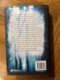 Kniha - Nikdy nevíš, Chevy Stevensová - 2