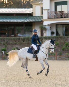 Sada Equestrian Stockholm Sportive Navy VS - 2