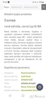 Prodej sadbovy rané brambory Esmee - 2