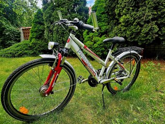 Detske hlinikove kolo Pegasus 24 - 2
