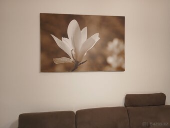 Obraz magnolie - 2
