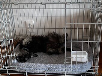 Savic Dog Residence – klec pro psa (D 76 × Š 53 × V 61 cm) - 2