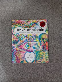 Hravá anatomie-knížka - 2