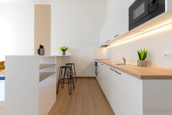 Pronájem 1+kk na ul. Poštovská, Brno - 2