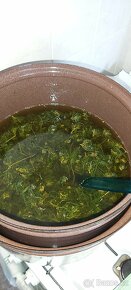 Konopná Mastička - 2