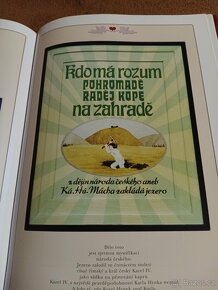 Kniha Staré plakáty a reklamy - 2