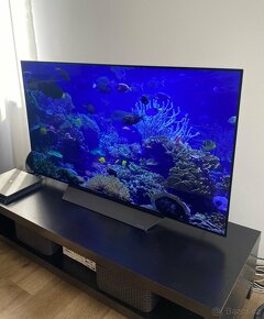 Jako nová LG OLED televize 55" OLED55B8PLA - 2