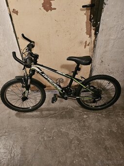 Kolo 20" - 2