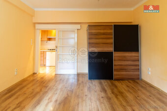 Pronájem bytu 2+kk, 46 m², Praha, ul. Biskupcova - 2