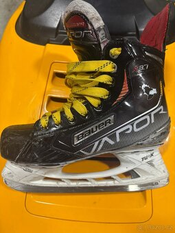 Bauer Vapor X 3,7, vel. 5.5 D - 2
