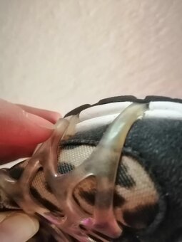 Nike tenisky, tygrované, vel 35,5 - 2