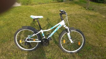 Kolo rock machine - 2