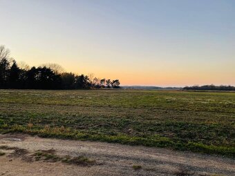 Veľký Pozemok 45 172 m² pri Malých Levároch - 2