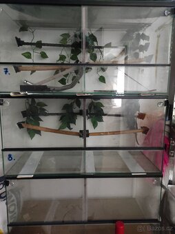 Terária, příslušenství - 2