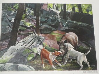 bullterier-olejomal99ba - 2