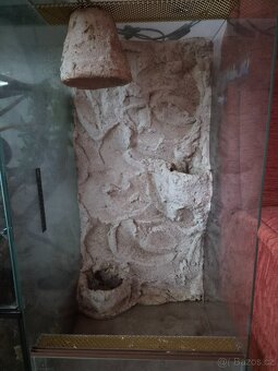 Terarium - 2