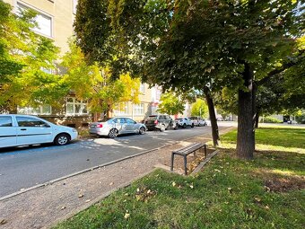 Prodej bytu 2+1 Brně - Králově Poli - 2