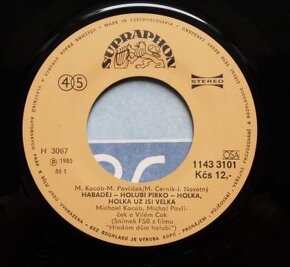 Michael Kocáb, M. Pavlíček a V. Čok – Hledám dům holubí (EP) - 2