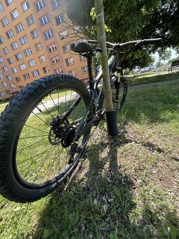 BEFLY Hero Two 2018 - 2