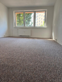 Prodej družstevního bytu 1+kk o velikosti 30 m2. - 2