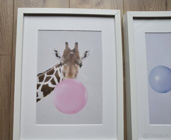 Dva obrázky v rámu Ribba Ikea - 2