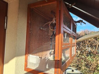 Voliéra + andulky - 2