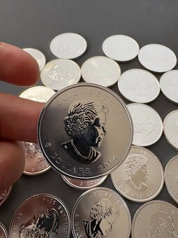 stříbrná mince 1 Oz Maple Leaf - 2014 Kanada - 2
