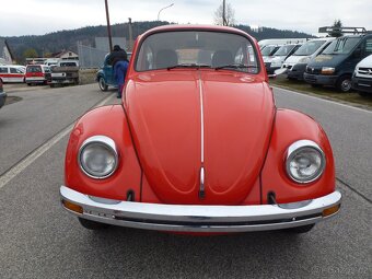 Volkswagen Brouk - 2