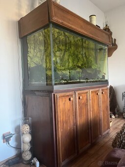 Rustikal akvarium - 2