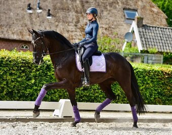 Equestrian Stockholm Lavender DL - 2