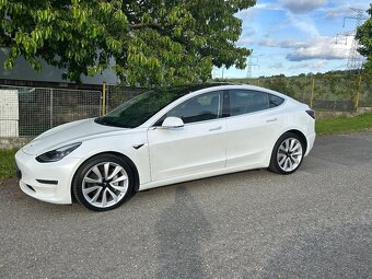 Tesla Model 3, Long Range, tazne, DPH - 2