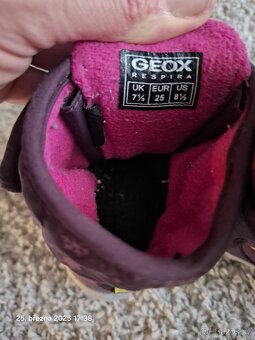 Geox - 2