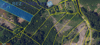 Prodej, les, 26720 m2, Rváčov u Hlinska - 2