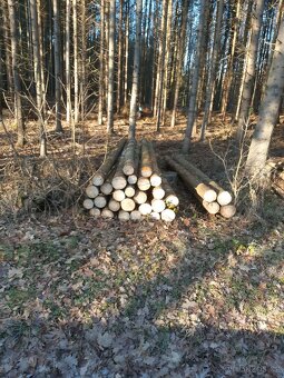 Prodám palivové dřevo - 2