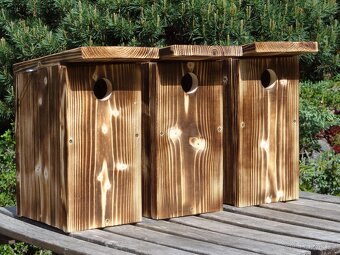 Ptačí budka - s překážkou proti predátorům - 2