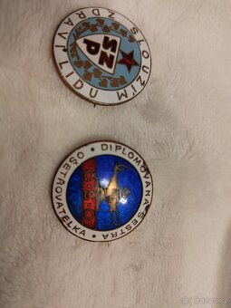 Odznak, smaltovaný Diplomovaná sestra. - 2