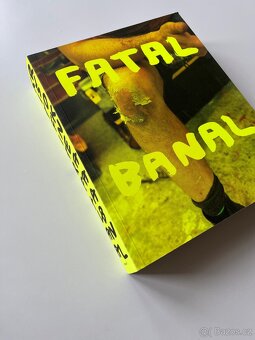 Kniha FATAL BANAL KRIŠTOF KINTERA - 2